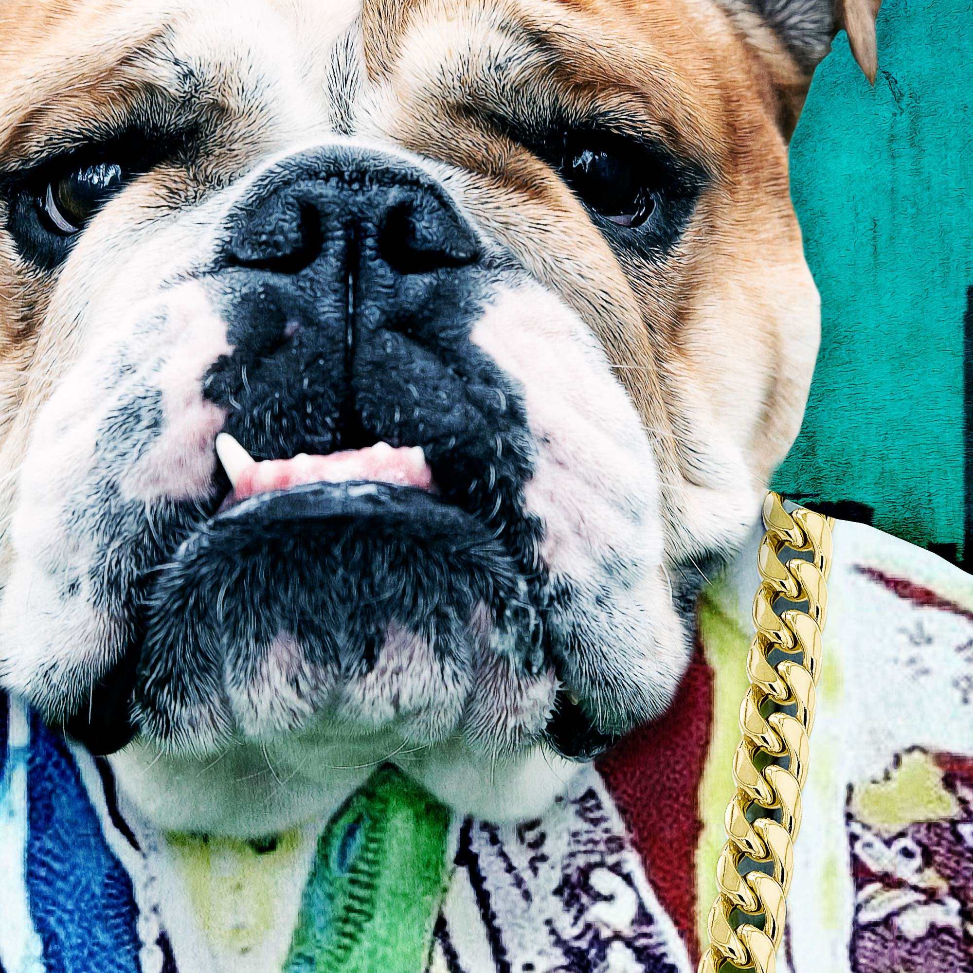 CUSTOM PET PORTRAIT - NOTORIOUS D.O.G