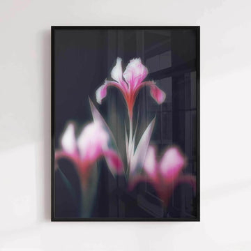 Emerging Light - Blurry Flower Aesthetic