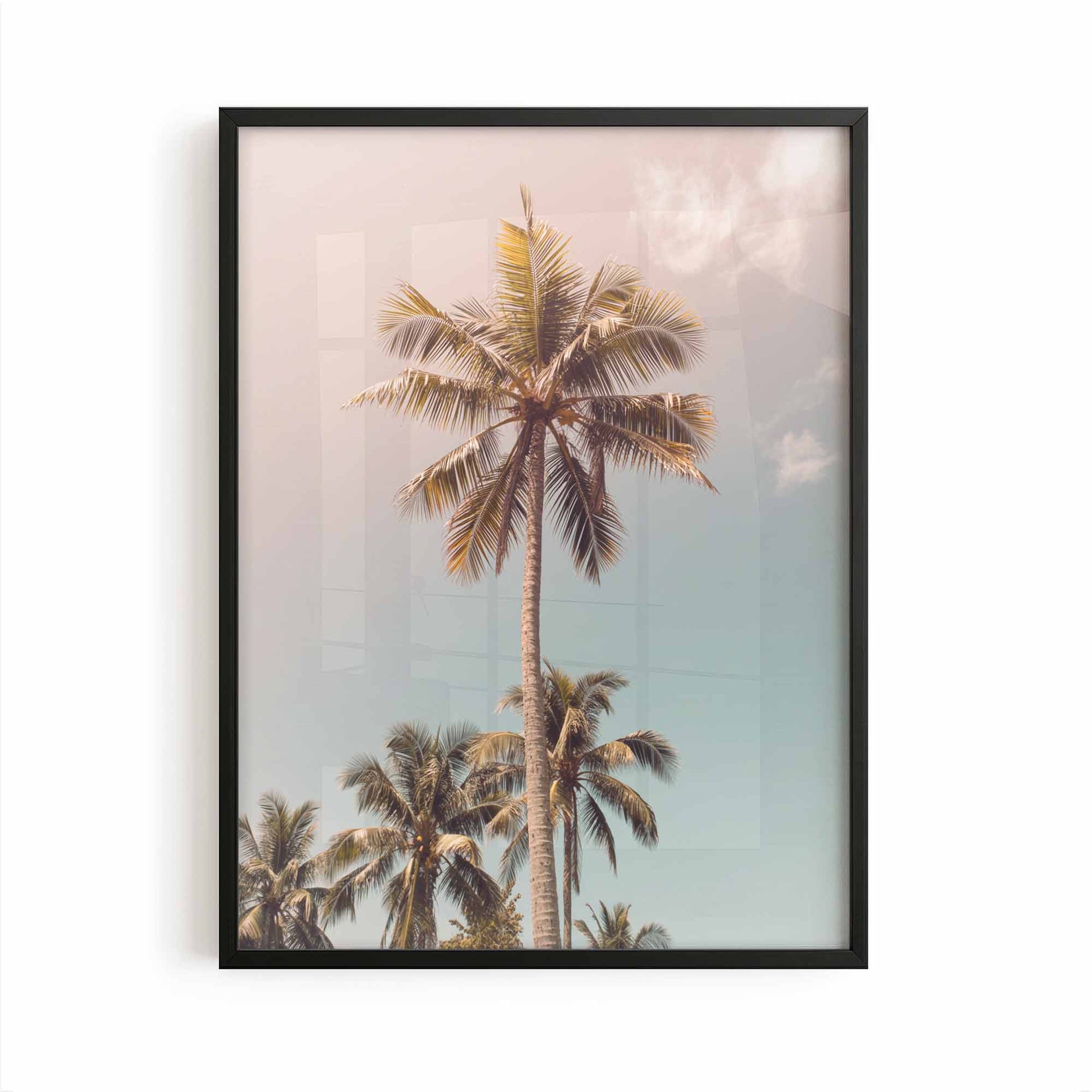 Sun-Kissed Palms – Palm Tree Photography framed print