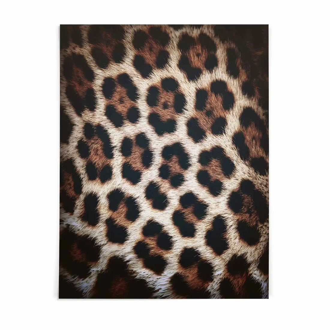 black framed poster print featuring leopard print fashion artwork with minimalist typography and luxury fashion styling by Afterhours Gallery