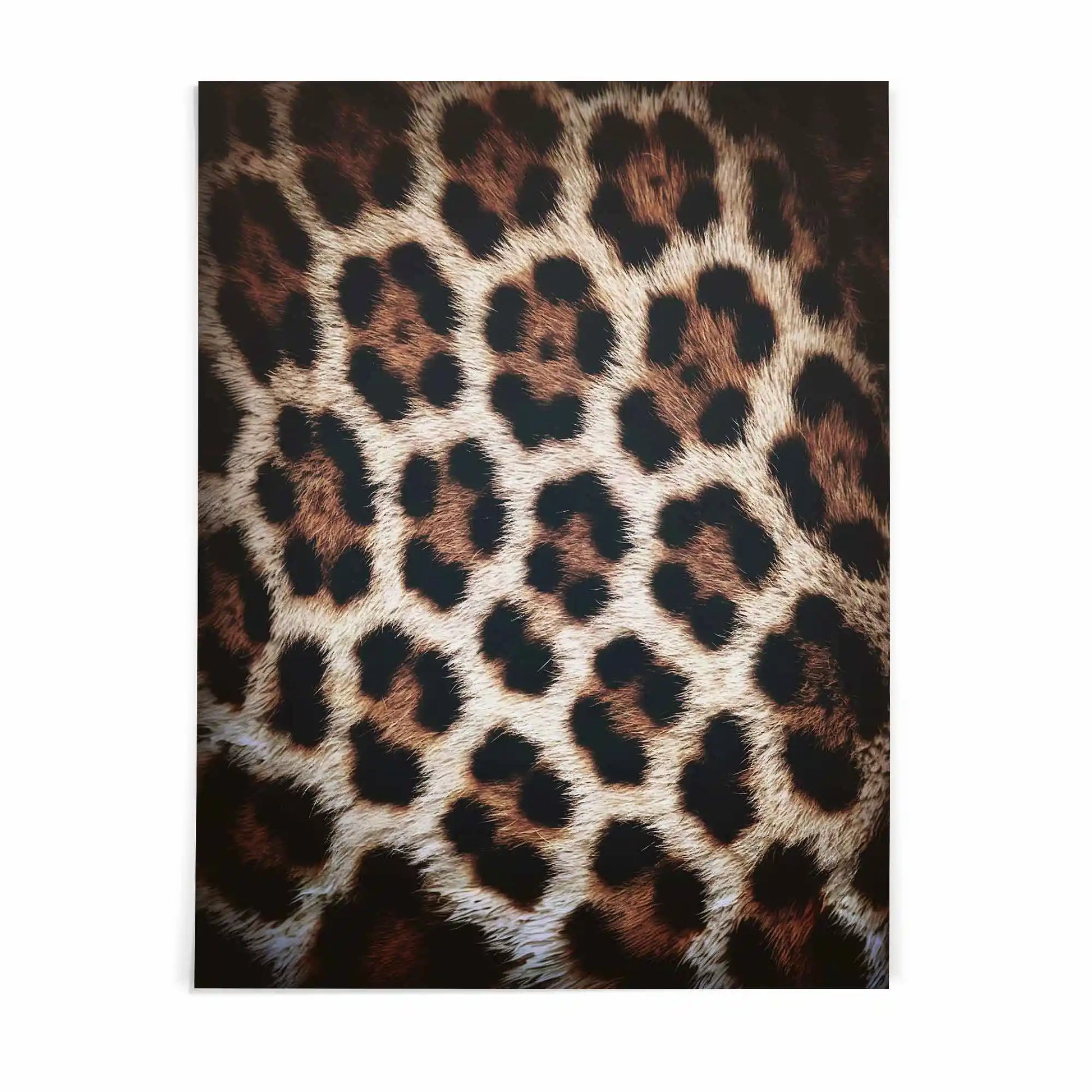 poster print of leopard print fashion definition artwork with monochrome palette and confident fashion aesthetic by AfterHours Gallery