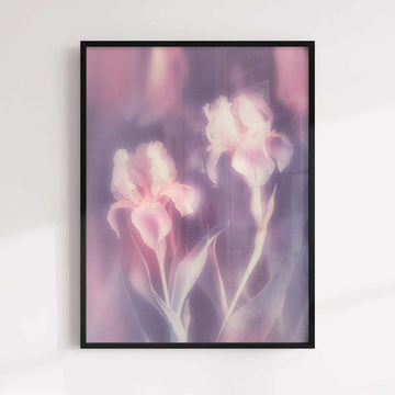 Veil of Light - Dreamy Floral Print